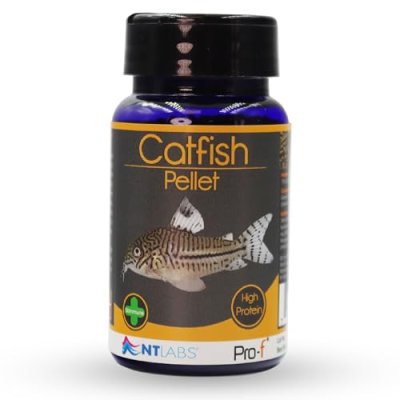 NT Labs Catfish Pellet