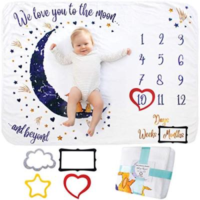 Baby Monthly Milestone Blanket