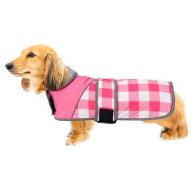 Dachshund Waterproof Coat