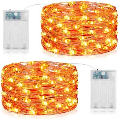 Vacoulery Fairy Lights