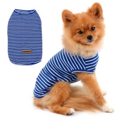 Paideful Dog T-Shirt