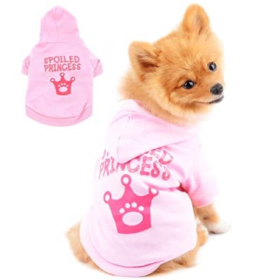 Paideful Dog T-Shirt