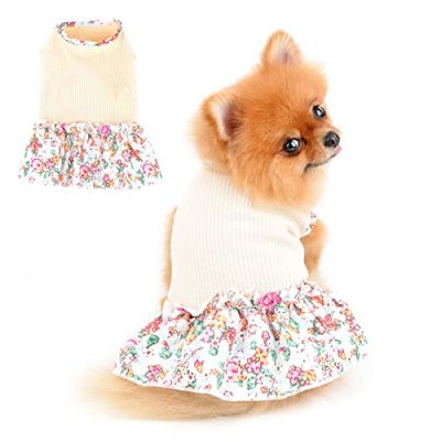 Paideful Dog Dress