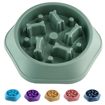 Caishow Slow Feeder Dog Bowl