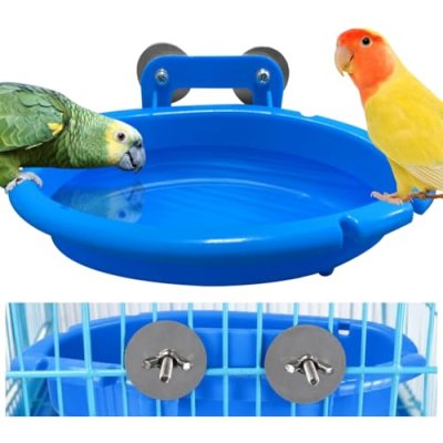 Cakefly Bird Bath