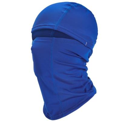 Balaclava Ski Mask Neck Gaiter