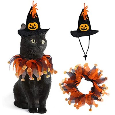 Halloween Pet Costume