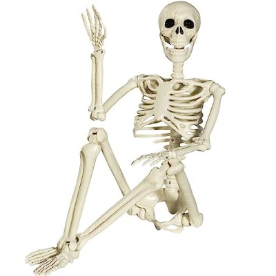Halloween Posable Skeleton - 90cm Full Body…