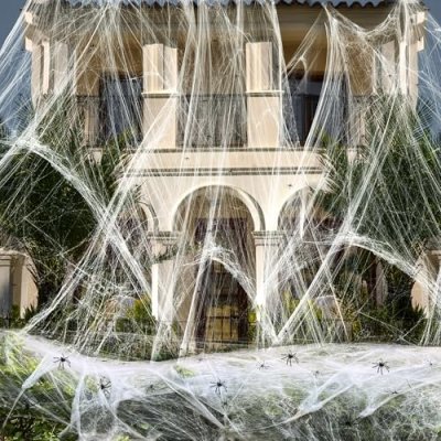Halloween Spider Web Decoration