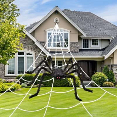 Halloween Spider Web Set