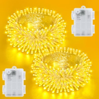 Dalugo Battery String Lights