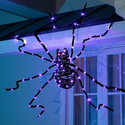 Eambrite Outdoor Spider Decoration