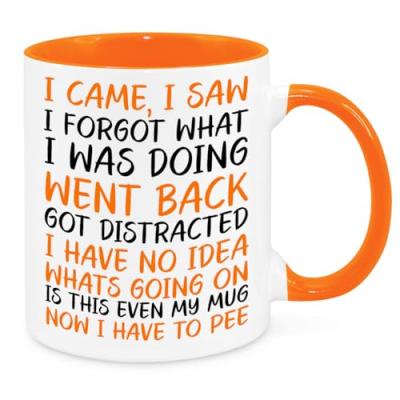 'I Came, I Saw, I Forgot' Mug