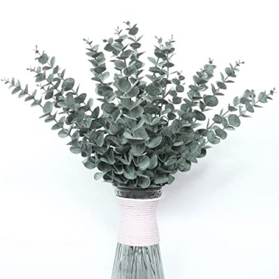 HanYun Eucalyptus Stems