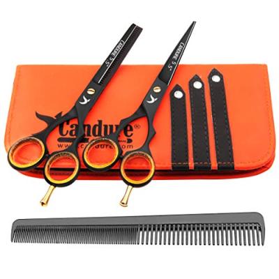 Candure Hairdressing Scissors Set