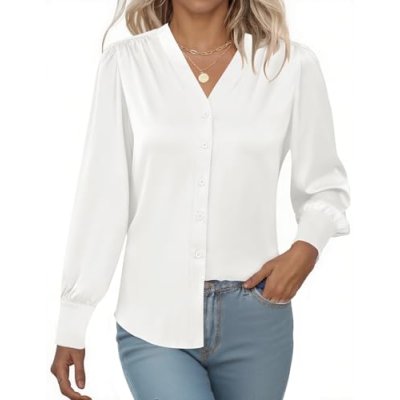 Rapbin Women's Satin Blouse