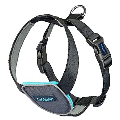 CarSafe Dog Harness
