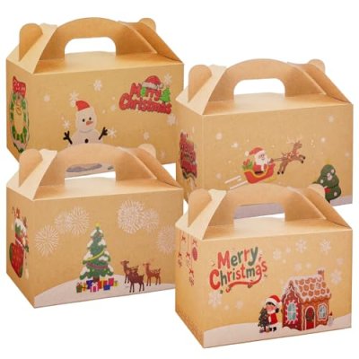 Cardboard Lunch Boxes