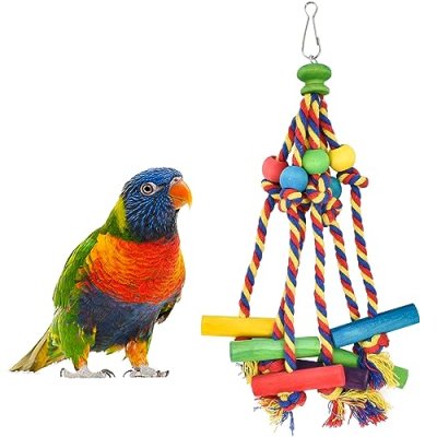 Parrot Chewing Toys