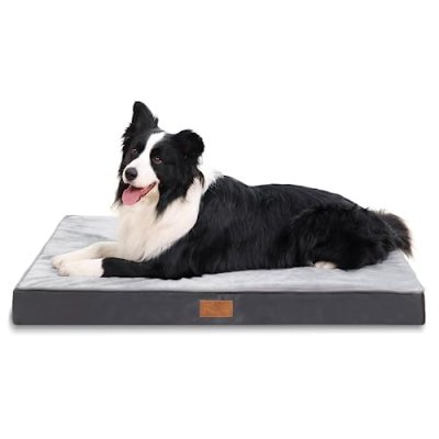 Jaspuriea Orthopedic Dog Bed