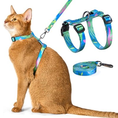 Cat Harness and Leash Set