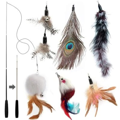 Cat Feather Toys