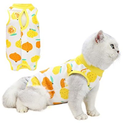 Cat Recovery Suit