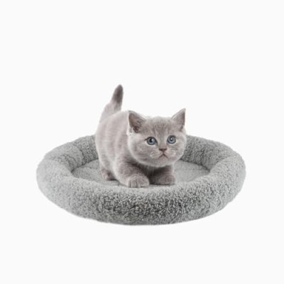 PETLESO Cat Bed