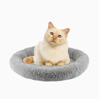PETLESO Cat Bed