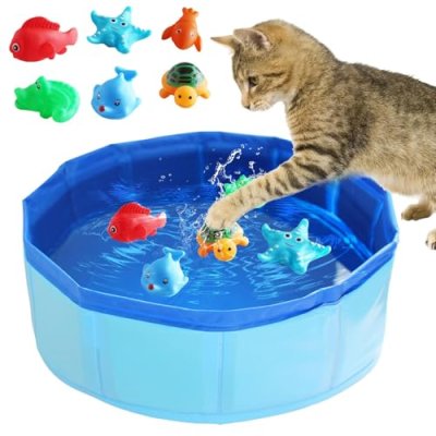 Cat Pool with Toys