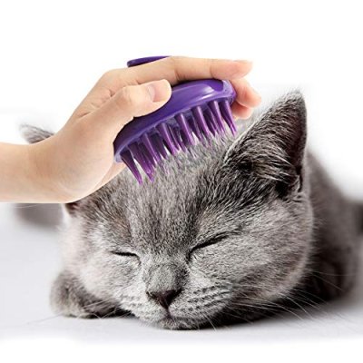 Cat Grooming Brush