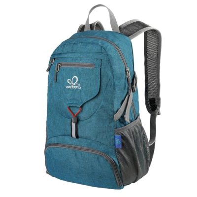 Waterfly Foldable Backpack