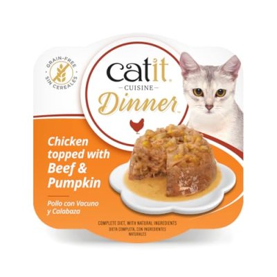 Catit Cuisine Dinner
