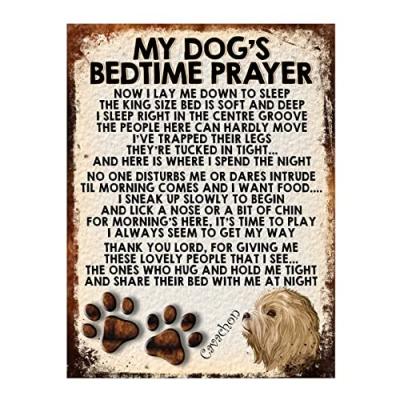 Cavachon Dog Metal Sign