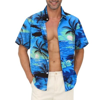 Gavliuu Hawaiian Shirt