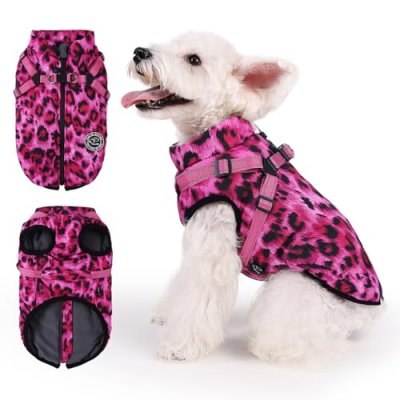 Savlot Dog Winter Jacket