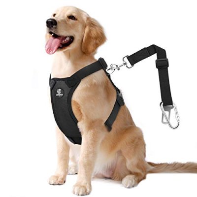 VavoPaw Dog Safety Harness