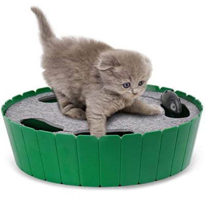 Pawaboo Interactive Cat Toy