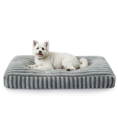Pawk Small Dog Bed