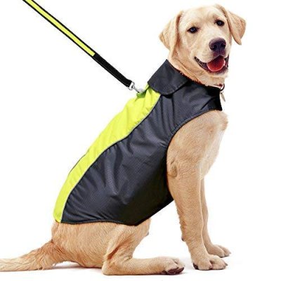 YFbrite Dog Coat