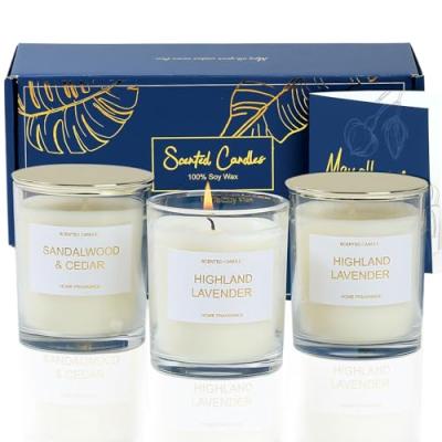 PROFIKLA Scented Candle Gift Set
