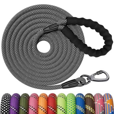 Kdsvakd Dog Training Lead