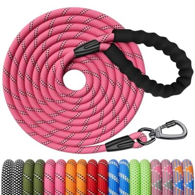 Kdsvakd Dog Training Lead