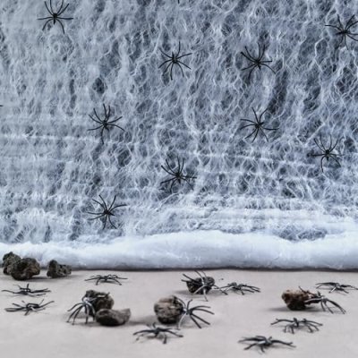 AeLion Halloween Spider Web Set