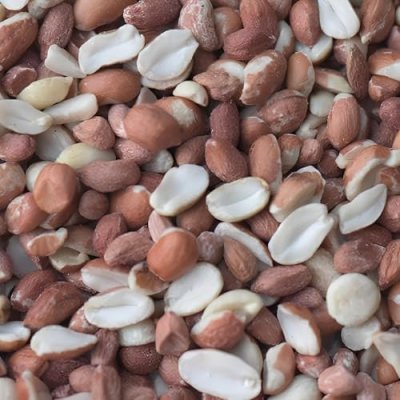 Leagrams Bird Peanuts