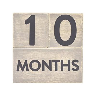 Pearhead Age Blocks for Baby Photos