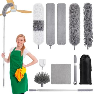 Feather Duster with Extension Pole