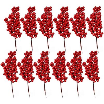 Red Berry Twig Stems