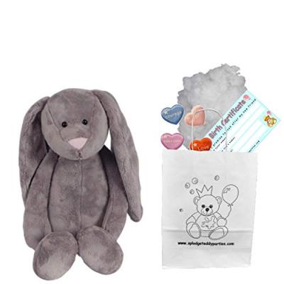 Teddy Bear Making Kit - Bunny Rabbit Plush