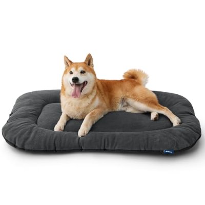 Bedsure Dog Mat